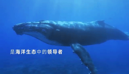 FOSUN HEALTH 复星健康全新logo3.gif
